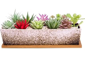 ARTKETTY Doniczki na sukulenty, 30 cm długości, prostokątne doniczki na sukulenty z tacką drenażową, duże ceramiczne rośliny kwiatowe kaktusów do wewnątrz/na zewnątrz, płytkie bonsai, okno, dekoracja