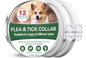 PAISTELY Collier Anti-puces pour Chiens, Collier Anti-puces sûr et Efficace pour Chiens composé d'huiles essentielles Naturelles, efficacité 12 Mois Collier Anti-tiques pour Chiens (65cm-2pack)