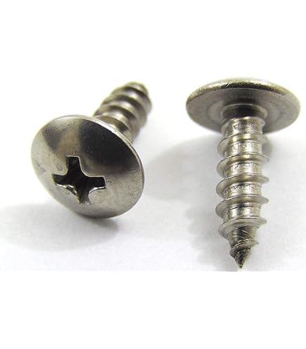 8 Viti Per Lamiera Testa Traliccio Phillips &ndash; Acciaio Inox 18-8 &ndash; Albany County Fasteners