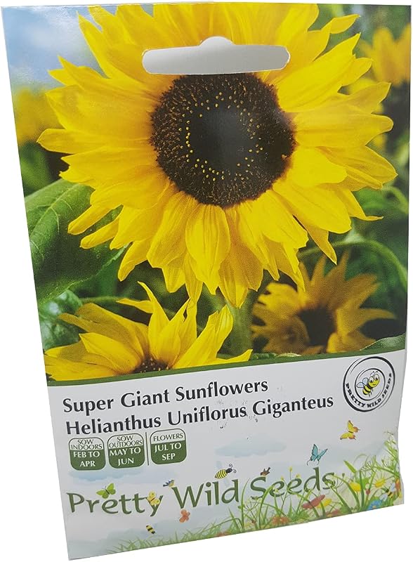 Super Giant Sunflower Seeds in Pictorial Packet Helianthus Uniflorus Giganteus