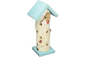 Dehner Natura - Casetta per Le Coccinelle Ladybird, in Legno di Betulla, Turchese/Marrone