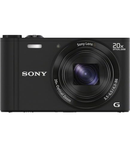Sony Cyber-shot DSC-HX10V 18.2 MP Exmor R CMOS Digital Camera with
