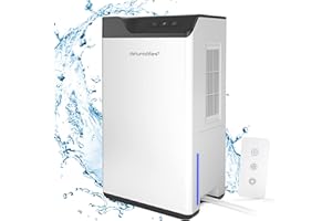 KITETTE Deumidificatore Casa,Doppio Semiconduttore,Telecomando,Serbatoio Dell'acqua 2L Tubo Scarico 1.5m,Sbrinamento Automatico,750ml/giorno Deumidificatore Casa Muffa,Deumidificatore Ambienti,Armadio，Bagno