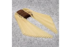 FANDAO 20 Piezas Juego de Reemplazo de Banda de Goma Slingshot, Banda de Ancha Elástica de Caza de Alta Velocidad, Adaptar Varias Catapultas y Tirachinas Conoce Diferentes Edades,1.0mm,25CM