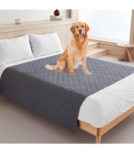 Luciphia Waterdichte deken met antislip punten, robuuste hondenmat, bescherming voor bank, bed, auto, machinewasbaar, ideaal voor honden en katten, lichtgrijs, 76 x 178 cm