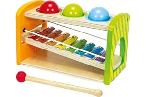 Eichhorn 100002233 "Color Xylophone Hammering Bank Set