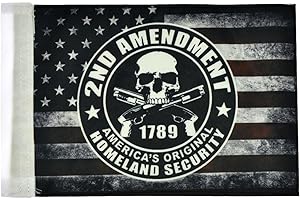 HDBUBALUS Rebacker Moto Arrière Fixation Latérale Porte-Bagage Drapeau Pole pour Harley Sportster XL Touring Road King Glide & Flht Chrome