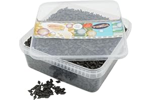 ‎PE ÄM Deine Naschbox | Salmiak Pastilles Extra Strong | 1 kg Snack Box | XL Bulk Pack for Party, Candy Bar & as a Gift - Aromatic Spicy - Liquorice