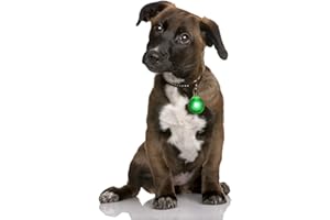 PRECORN LED Light Pendant in Green for Dogs Cats and Much More Light Collar LED Dog Collar Pendant