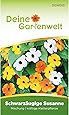 Schwarzäugige Susanne Samen | Mischung | Saatgut für Thunbergia alata | Kletterpflanze