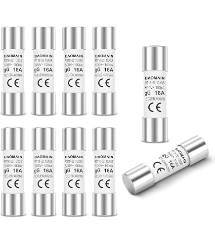 Baomain 10-Pack 10A Fuse Link, RT18-32 (RO15 RT14 RT19