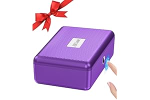 AICase scatola di immagazzinamento delle impronte digitali, cassaforte portatile Cassetta di sicurezza per gioielli in contanti, scatola di blocco delle impronte digitali per casa, ufficio viaggio