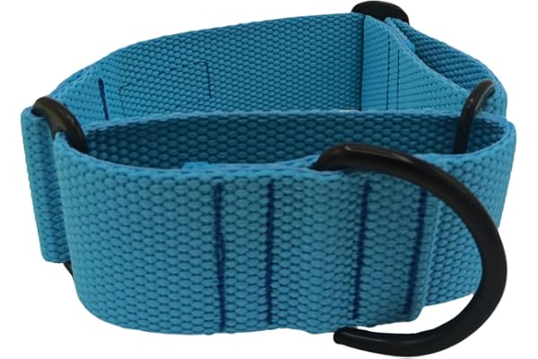 EGV Collar Martingale 4 cm Ancho (M, Azul) | Collar Martingale para Perro y Galgo, Ajustable y Hecho a Mano en España