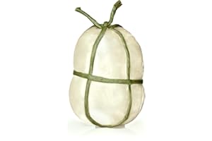 Provola Dolce Salumi Pasini® | Fromage Provola douce | Typique Italien | Goût délicat | 450 g