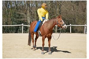 Dönges Manichino per cavalli, 180 cm, misura aiuto per l'equitazione, per l'equitazione, per la formazione di cavalli, senza imbottitura, per equitazione