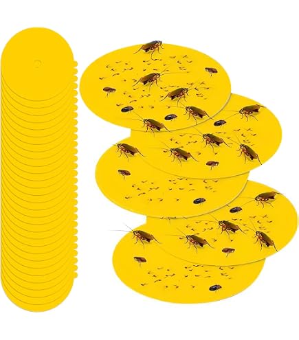 Lot De 2 Pièges à Puces AMFUN à LED - 4 Modes De Lumière, 14 Plaques Adhésives, Alimentation USB Ou Piles, Blanc