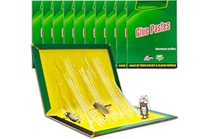 NATURAS AUTHERIC 10 Packs 12.4 Inch x 8.2 Inch Sticky Traps Glue Pads, Extra Strong Glue Trap Boards Indoor Outdoor, Efficient Gum Pads for Home Kitchen Office Garage & Garden