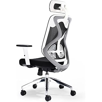 aeron posturefit