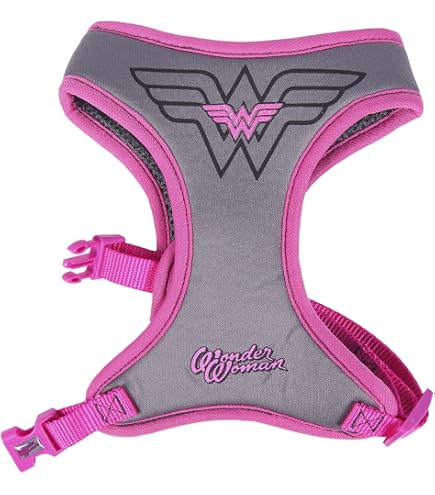 DC Super Pets Wonder Woman Hundeleine – 122 Cm Lang, 3.8 Cm Breit, Rot/gelb, Aus Polyester