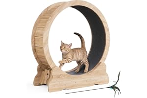 Mondeer Roue d'exercice pour Chat, 90cm Roue pour Chat d'intérieur avec Tapis Amovible et Jouet pour Chat, pour Course à Pied, Marche, Bois Naturel