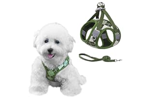 PawSailor Arnes Chaleco Perro Correa para Caminar, Arnes Antitirones Antiescape con Patrón Cuadros, Easy Walk Transpirable Reflectante Ajustable para Perros Pequeños, Gatos, Verde S