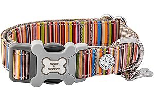 HUGO & HUDSON Nylon Dog Collar with Quick Release Safety Buckle, Multi-colour Striped, L