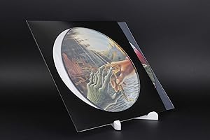 MC DAISON 10 pezzi KIT COMPLETO Copertina Busta Cartoncino NERO per Dischi Vinile LP 33 Giri 12" Maxi Single Colorati Picture Disc + Busta interna trasparente (diam. 30 cm)