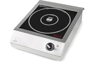Lacor - 69362 - Placa Inducción Portátil Easy, Cocina Portátil Profesional, Sistema IPX3, 10 Niveles de Potencia, Apta para Diámetros entre Ø12 cm y Ø28 cm, 3500W, Acero Inoxidable