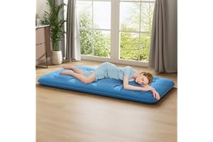 Multigot Floor Futon Mattress, 10cm Thick Roll Up Japanese Sleeping Pad with Carry Bag and Washable Cover, Folding Tatami Mat Lounger Guest Bed for Bedroom Guest Room Dormitory (Blue, Small Double)