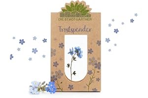 Die Stadtgärtner "Trostspender I Vergissmeinnicht im Glas als Trost-Geschenk in schweren Zeiten I Abschiedsgeschenk für Freunde, Lehrerin & Geschenk zur Aufmunterung I Handgemacht in Deutschland
