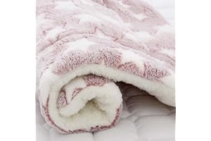 iik Cozy Calming Cat Blanket, Ultra Soft Dog/Cat Bed Mat with Cute Prints, Dog/Cat Blankets for Indoor Cats, Warm Pet Mat in A Variety of Sizes to Fit Most Pets (H,24 * 16in)