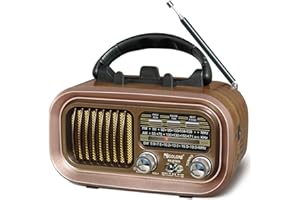 FANTOCEMEA Retro Radio Klein mit Bluetooth,Tragbares AM/FM/SW Radio,Hervorragender Empfang,Nostalgie Radio Unterstützt USB/TF-Karte Funktion,1200mAh Akku oder D-Zellen Batterien