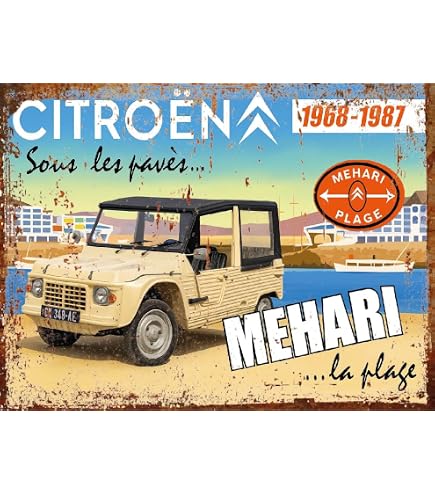 udc Editions du sud Plaque Vintage décorative cartonnée AMI6 Citroën 12x17cm