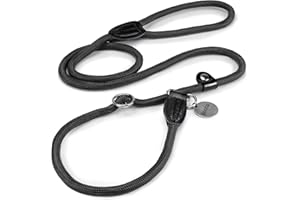 lionto Correa Retriever Correa de Perro Correa de Entrenamiento, Longitud 120 cm Negro