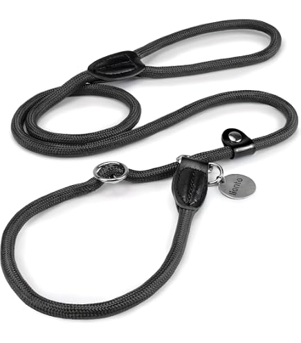 KENSONS Retrieverleine Sporty – Robuste Hunde-Tauleine Mit Integriertem Halsband, 6mm, Mit Hirschhorn-Zugstopp