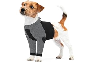 Lelepet Tuta per il recupero del cane per zampe anteriori, tuta per il recupero della chirurgia del cane femmina maschio, protezione per ferite alle gambe dell'animale domestico dopo l'intervento