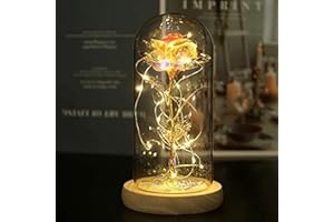 NAWEIDA Galaxy Rose Flower, Infinity Rose in Glass Dome, Beauty and The Beast Rose Led Light String on Galaxy Rose Flower for Women Her Girlfriend Grandma Wife Sister Valentines Anniversary
