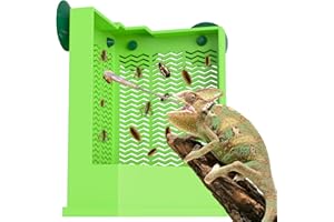 Pawfly Comedero para Dragón Barbudo - Caja Antifugas para Reptiles, Montaje en Pared con Ventosas, Plato Grande para Insectos (Lagartos, Camaleones, Geckos, Ranas)