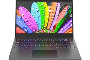 AWOW 14.0" FHD Laptop con Processore Core i5-8279U (fino a 4.1 GHz), 16GB RAM DDR4, SSD da 512GB, Ultrabook Ultra Sottile con Design Anti-Spia, Webcam, WiFi e Bluetooth 5.1