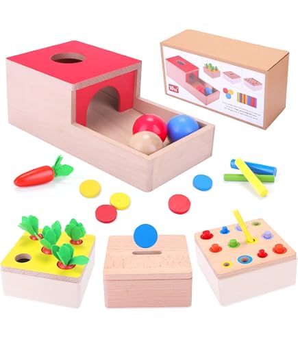 Purpledi – Coffret Montessori 6 En 1 En Bois – Motricité Fine – Bébé 1-3 Ans – Cadeau Noël, Anniversaire