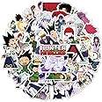 100PCS Hunter X Hunter Stickers Japanese Cartoon Anime Stickers Waterproof Vinyl Stickers for Kids Teens Adults Water Bottle Laptop Suitcase Luggage Skateboard Decoration