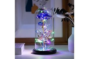 HFHungkeong Gifts for Women, Mother's Day Birthday Gifts, Galaxy Rainbow Artificial Flowers Glass Light Up Dome Crystal Flowers Butterfly Roses, for Mom Girlfriend Sister Wife Friends Teacher