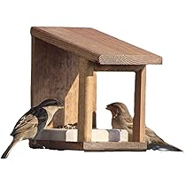 Mangiatoia per uccelli in legno CASA - Timberlab
