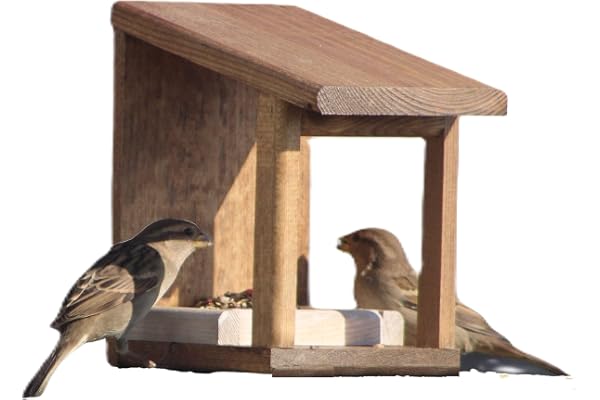 Mangeoire pour oiseaux 'wengue'