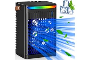 BEEWIN Portable Air Cooler - Portable Air Conditioner Mini AC with Handle,Personal Quiet Small Mobile Cooling Fan,USB Powered,2/4/6 H Timer,5 Speeds,60°Adjustment,for Office,Home,Room - Black
