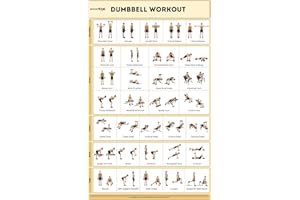 SPORTAXIS - Poster d'entraînement plastifié sans équipement avec illustrations colorées - Poster d'entraînement à domicile pour homme et femme - Poster mural d'entraînement avancé à la maison