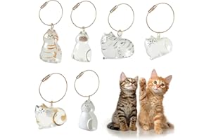 CUVZORA 6 pièces de Conservation Catzenhair Porte-clés, Emotionales Souvenirs für Katzenliebhaber, Cadeau Parfait pour Les propriétaires d'animaux domestiques, accompagnateurs et collecteurs