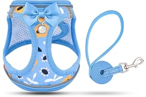 HAHEITA Cat Harness and Lead Escape Proof for Walking, Adjustable Soft Kitten Harness with Reflective Straps Step in Cat Vest Harness for Small Kitten and XS Dogs