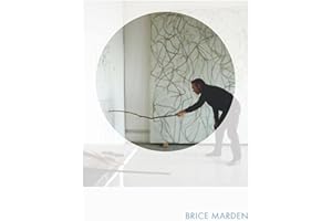 Brice Marden: Phaidon Focus