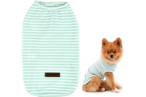 SMALLLEE_LUCKY_STORE Basic Pet Strick-T-Shirt für kleine Hunde, Katzen, Jungen, Mädchen, Welpen, ärmellos, weich, Chihuahua, Sommerkleidung, Grün, Größe L